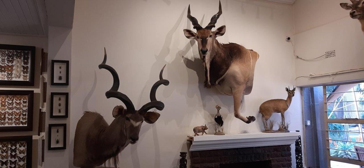 Afton Safari Lodge Kempton Park Exteriör bild